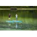 Fanatic SUP Ray Air Set mit Paddel blau/rot