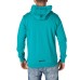 Mystic Hoody Fresh 2.0 green